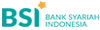 BSI